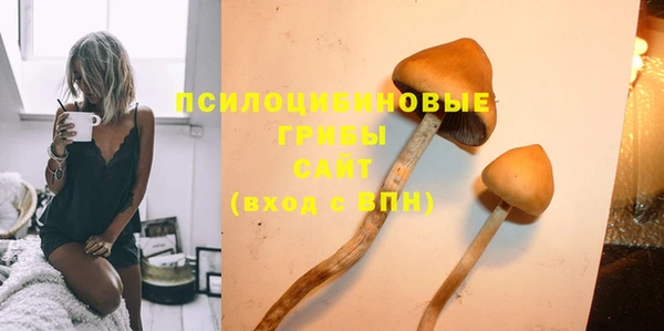 гашик Арсеньев