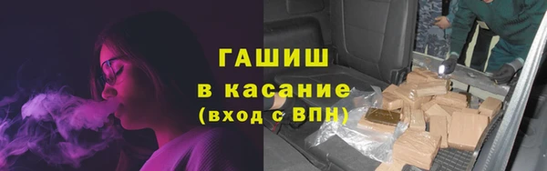 гашик Арсеньев