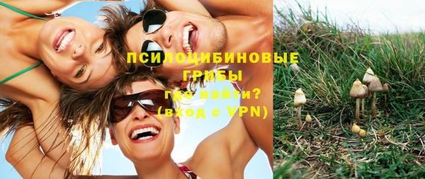 дживик Армянск