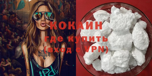 гашик Арсеньев
