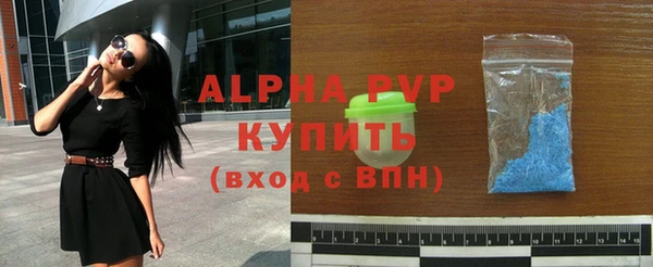 гашик Арсеньев