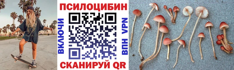 Галлюциногенные грибы ЛСД гидра ONION Чадан где продают наркотики
